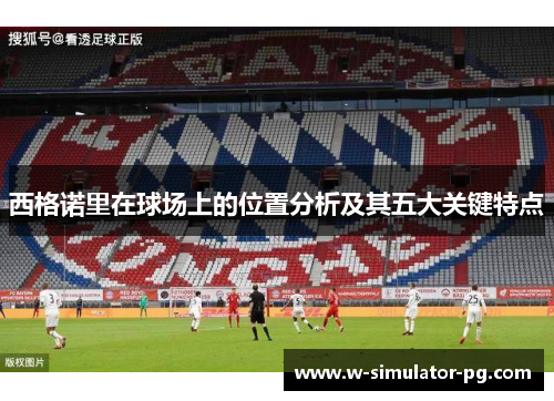 西格诺里在球场上的位置分析及其五大关键特点