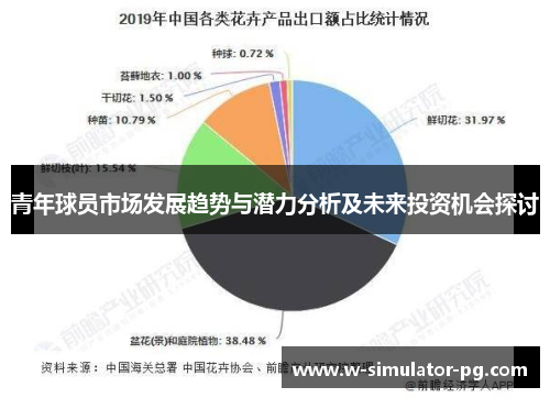 青年球员市场发展趋势与潜力分析及未来投资机会探讨 青年球员市场发展趋势与潜力分析及未来投资机会探讨