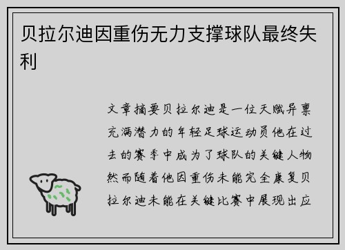 贝拉尔迪因重伤无力支撑球队最终失利